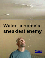 Water may be the indispensible source of life, but it can be a villain when it's leaking inside your home.